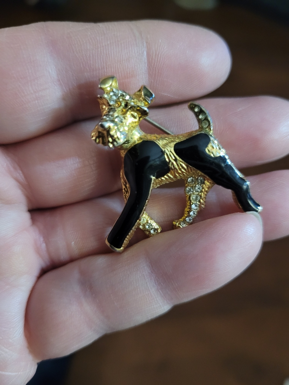 Broach Dog  Looks Like A Terrier   😊